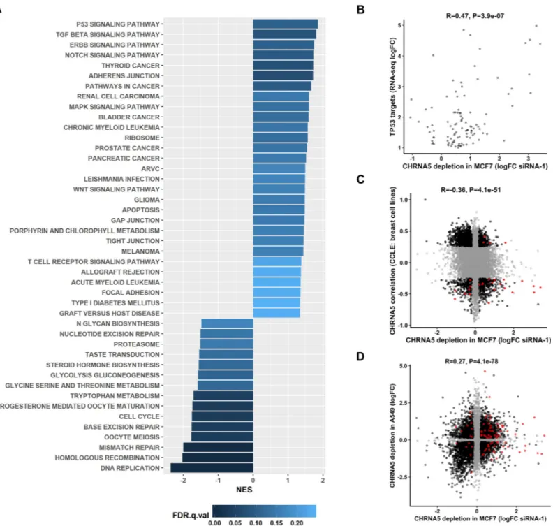 Fig 3. Functional analysis and comparative transcriptomics of CHRNA5 RNAi data. A. Normalized Enrichment Scores (NES) of GSEA analysis of microarray results (FDR q value &lt; 0.25)