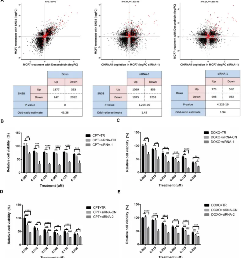 Fig 8. Association between CHRNA RNAi and topoisomerase inhibitors. A. Comparison of log fold changes (logFC) in response to DOXO and SN38, siRNA-1 and SN38, siRNA-1 and DOXO treatment in MCF7 (from left to right) and the corresponding statistical analysis