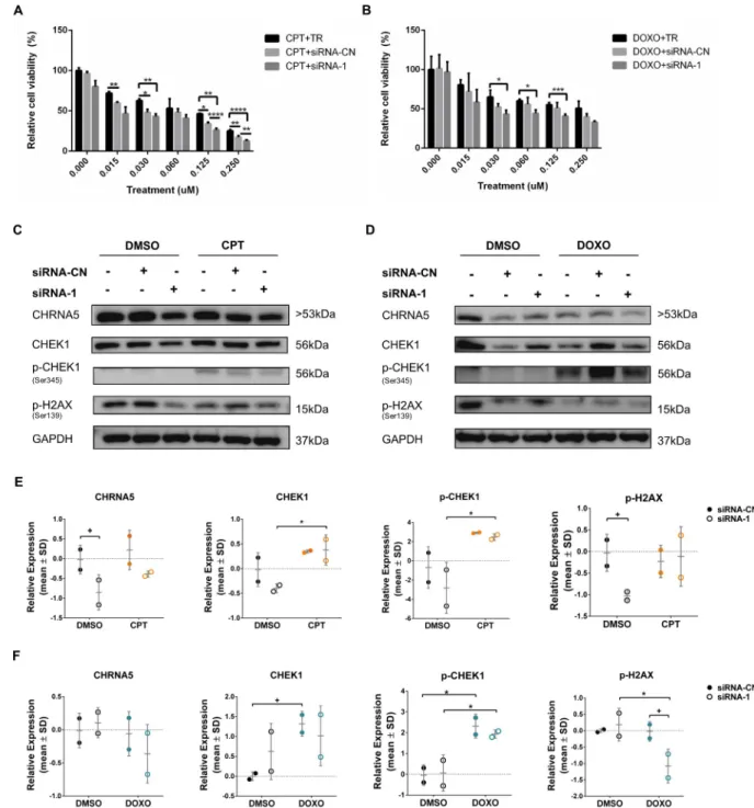 Fig 10. Effects of CHRNA5 RNAi in drug sensitivity in BT-20 cell line. Relative cell viability of siRNA-1 treated BT-20 cells to A