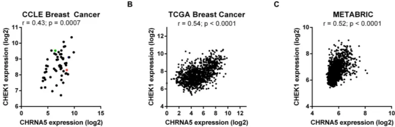 Fig 12. Correlation between CHRNA5 and CHEK1 expression levels. A-C. CCLE (A, n = 58), TCGA (B, n = 1100), METABRIC (C, n = 1904)