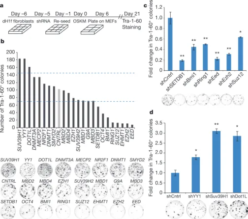 Figure 1 | Screening for inhibitors and enhancers of reprogramming.