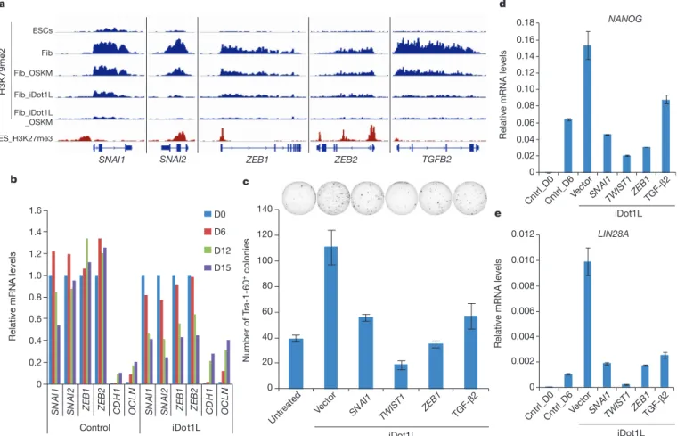 Figure 4 | Genome-wide analysis of H3K79me2 marks during reprogramming. a, H3K79me2 ChIP-sequencing tracks (blue) for select EMT-associated genes in fibroblasts (Fib) and ESCs along with the corresponding H3K27me3 tracks in ESCs (red)