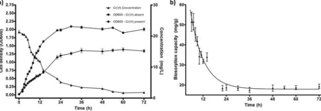FIG. 2. (a) Growth rate (with and without 20mg /L Cr(VI) presence) and chromium reduction capacity of untreated STB5
