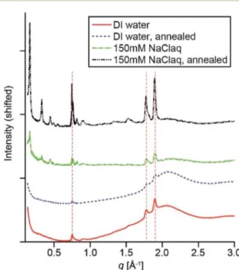 Fig. 3 X-ray scattering patterns of PMI/APTAC hybrid hydrogels at various aqueous processing stages