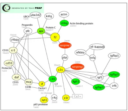 Figure 1.5: Complement activation and regulation network drawn by yFiles circu- circu-lar layout [33], http://www.proteolysis.org/proteases/m goto network/net4 0908