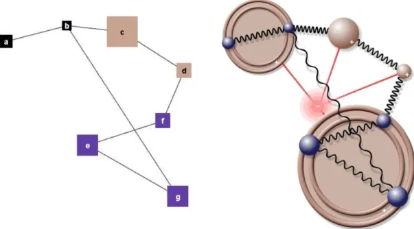 Figure 4.1: A sample clustered graph with 2 clusters {a, b} and {e, f, g}, and unclustered nodes {c, d} (left) and the corresponding physical model used by our algorithm (right).