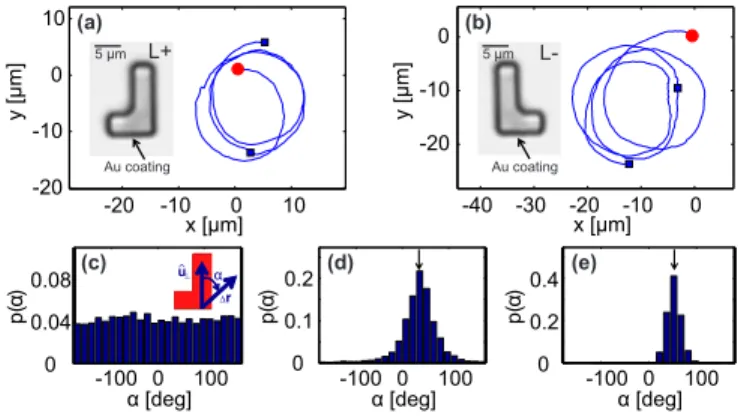 Figure 1. (Color online) (a),(b) Trajectories of an (a) L+ and (b) L– swimmer for an illumination intensity of 7.5 µW/µm 2 