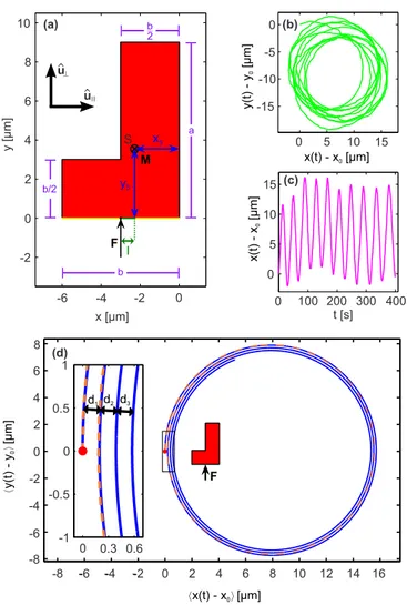 Figure 4. (Color online) (a),(b) Trajectories of an L+ swim- swim-mer approaching a straight wall at different angles (symbols correspond to positions after 1 min each)