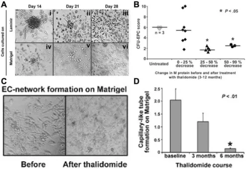 Figure 3. In vitro studies of endothelial progenitor cell (EPC) colony formation, growth, and capillary-like network formation before and after thalidomide