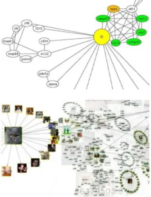 Fig. 2. Layout of a clustered graph by circular layout of the GLT described in [3].