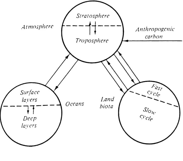 Figure IV.  Diagram of C02 Circulation