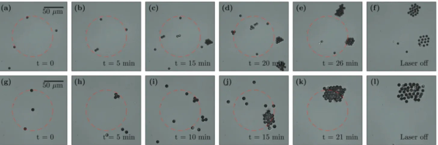 Fig. 3 Experimental time sequence of the dynamics (a–f) of silica particles (see also Video 3, ESI†) and (g–l) of a mixture of Janus particles and silica particles (see also Video 4, ESI†) (all particles have diameter 6.73 mm) in a Gaussian optical potenti