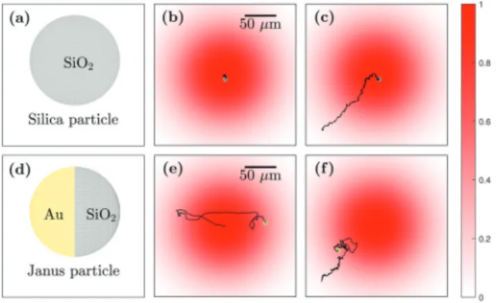 Fig. 5 Simulated time sequence demonstrating the formation of clusters of Janus particles for a system of 30 Janus particles with diameter (a–f) 4.77 mm (see also Video 1, ESI†) and (g–l) 6.73 mm (see also Video 2, ESI†) in a Gaussian optical potential