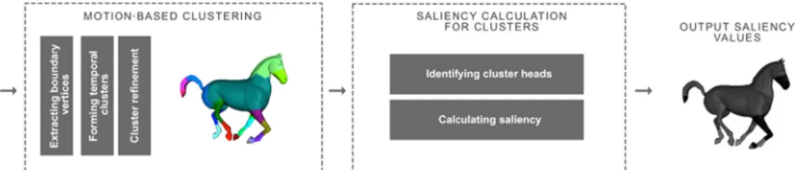 Fig. 2. Motion cycle of perceptually distinct motion states.