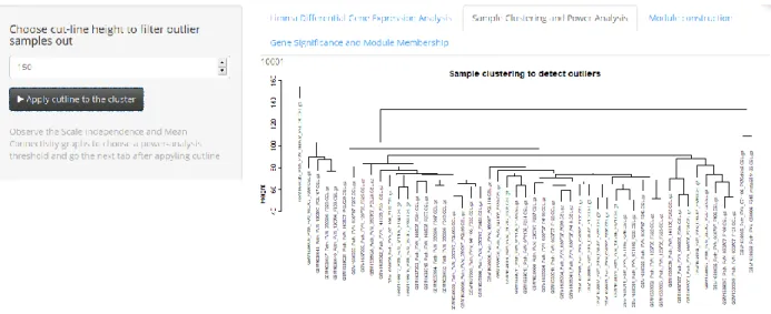 Figure 6: WGCNA Tab: Sample Clustering and Power Analysis – Sample clustering scheme 