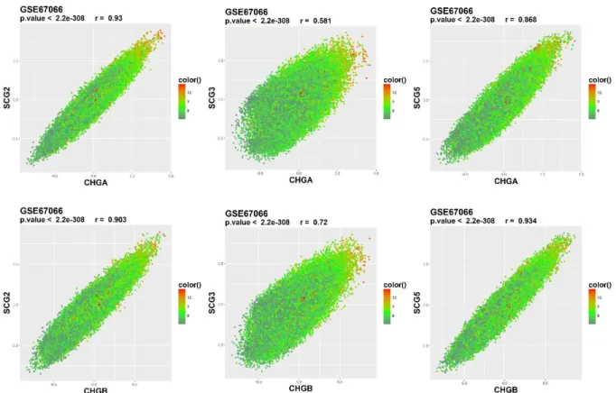 Figure 10: Correlation plots of chromogranins of interest (CHGA-CHGB) with secretogranin  genes of interest (SCG2-3-5) for the GSE67066 dataset (PCC, pheochromocytoma)