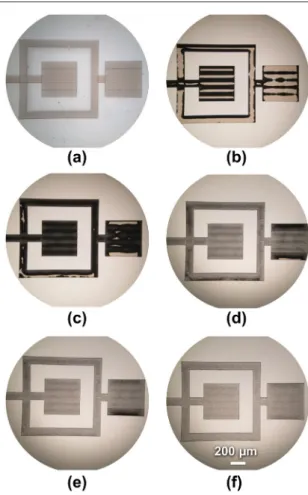 Figure 2.   Time-lapse 20×  optical micrographs of a 500  ×  500  ×    40 µm 3  microwell fabricated with FLAC during HF chemical  etching