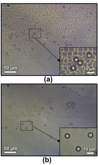 Figure 6.   Optical microscope images of microfluidic test chip  with with 8  µm diameter polystyrene microspheres