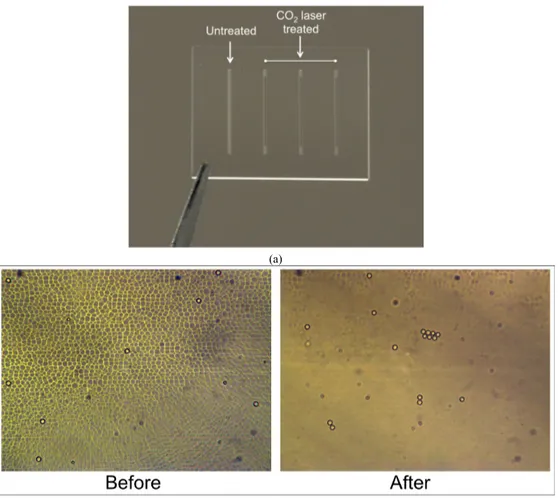 Fig. 2. a) CO 2  treated and untreated microfluidic channels before thermal bonding. Treated channels show a clear improvement in terms of  transparency; b) Microscope images of polystyrene microspheres in the microfluidic channel before and after CO 2  la