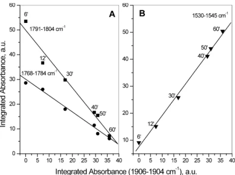 Fig. 6. (A) Correlation between the integrated absorbances of the bands due to the ν as (NO) modes of the cobalt(II) dinitrosyls and the integrated absorbance of the ν(NO) band of the ON–Co 2+ –NO 2 − species produced during NO adsorption (1.07 kPa, room t