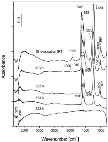 Fig. 8. FT-IR spectra obtained after heating of the catalyst 5CoZ containing adsorbed NO x species for 15 min in vacuum
