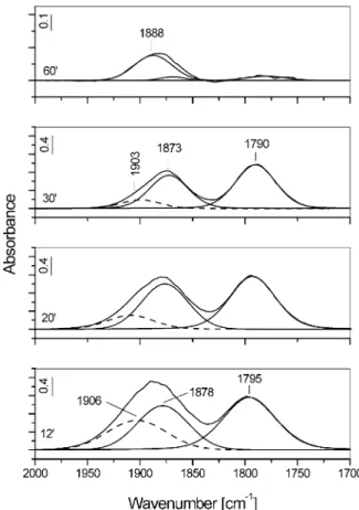 Fig. 10. Correlation between the integrated absorbances of the bands due to the ν(NO) and ν as (NO) modes of the cobalt(III) mono- and cobalt(II) dinitrosyls and the integrated absorbance of the δ(H 2 O) band at 1618 cm −1 produced during NO adsorption (1.