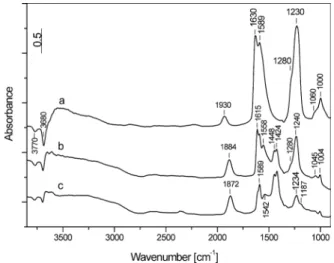 Fig. 1. FT-IR spectra of the 5CoZ catalyst taken after adsorption of NO/O 2 mixture (1.33 kPa, NO:O 2 = 1:1) for 30 min at room temperature followed by evacuation for 15 min (a) and after heating of the closed IR cell for 30 min at 623 K (b) and 723 K (c)