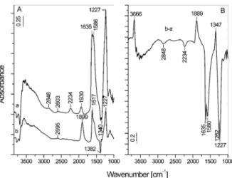 Fig. 4. FT-IR spectra of the 5CoSZ catalyst taken after adsorption of NO/O 2 mixture (1.33 kPa, NO:O 2 = 1:1) for 30 min at room temperature followed by evacuation for 15 min (a) and after heating of the closed IR cell for 30 min at 623 K (b)