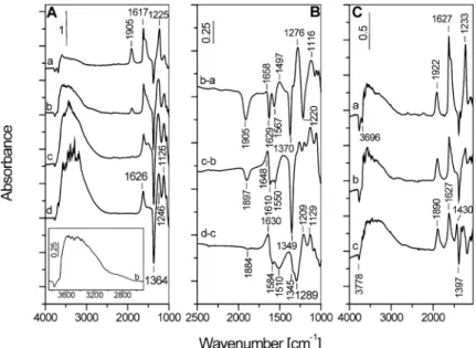 Fig. 6. (A) FT-IR spectra of the catalyst 5CoSZ taken after adsorption of NO/O 2 mixture (1.33 kPa, NO:O 2 = 1:1) at room temperature followed by evacuation for 15 min and heating of the closed IR cell for 30 min at 623 K and subsequent addition of 6.7 kPa