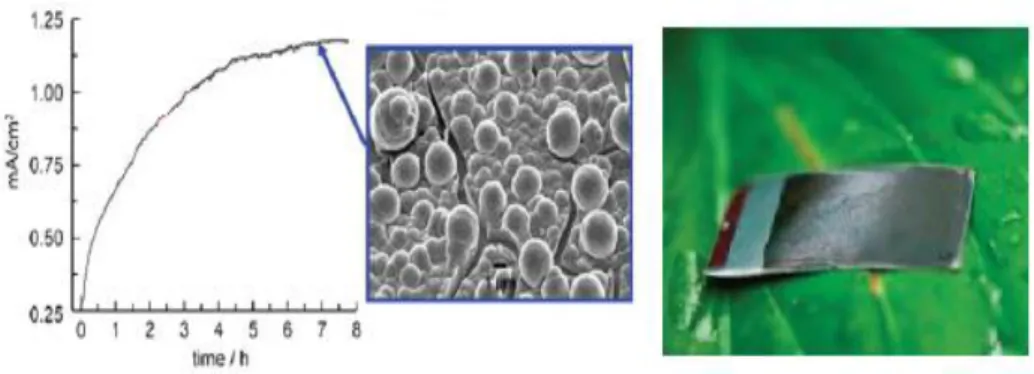 Figure 1.1. Current density graph with the SEM image (Left) and Picture (Right)  of the electrodeposited CoPi  catalyst film [15, 19]