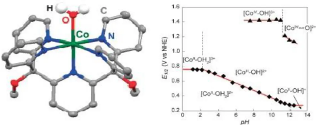 Figure  1.3.  Molecular  representation  of  Co(PY5)(H 2 O)](ClO 4 ) 2   (Left)  and    Pourbaix  diagram  of  the  complex  (Right)
