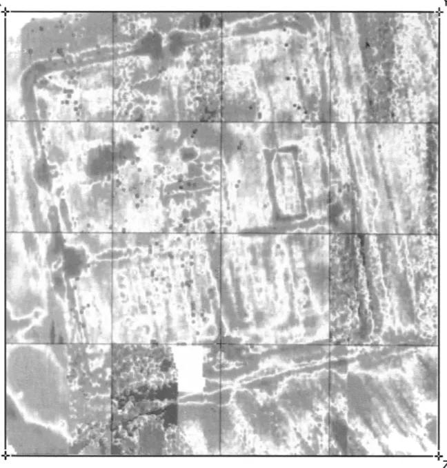 Fig. 4.  The geophysical  survey:  the  resistivity  results  at  '50' -cm depth  (image courtesy C 