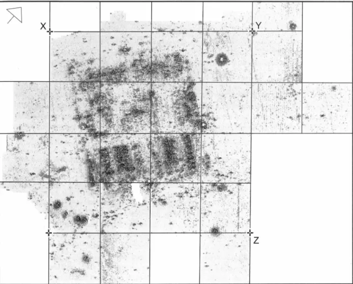 Fig.  5.  The  geophysical  survey:  magnetometer results  (image  courtesy  C.  Opreanu;  see also  Haalebos  1999,  fig