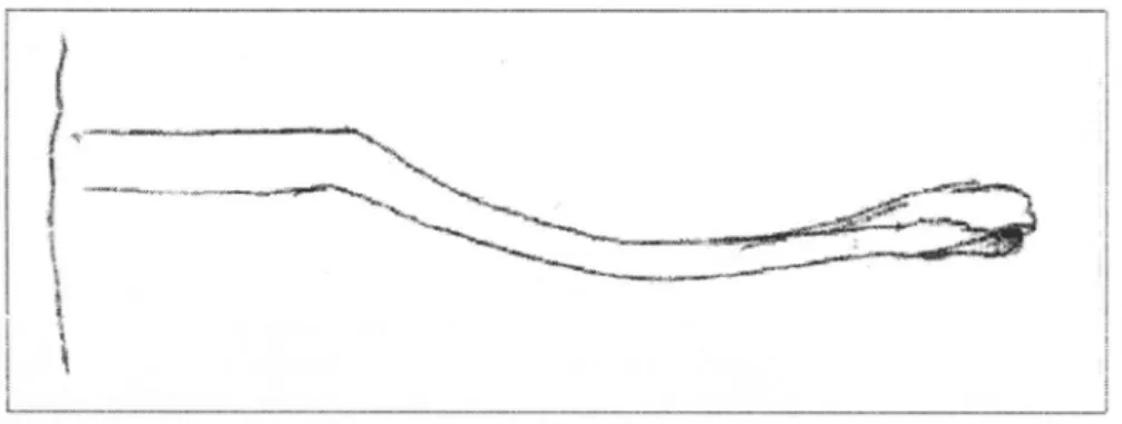 Figure  20.2.  Proposition  of an  elbow  operated  door  handle  (drawn  by  a  74  years  old  participant) 