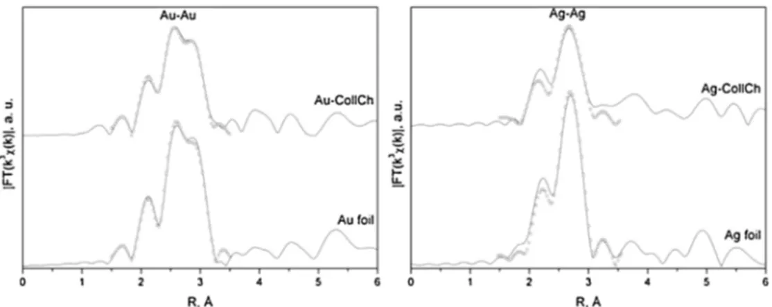 Fig. 6. FTs of EXAFS spectra for collagen-chitosan scaffolds modiﬁed with Au (left) and Ag (right): experimental (line) and best-ﬁt theoretical (open circles) curves