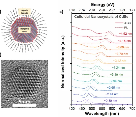 Figure  2.2.  (a)  Schematic  drawing  of  a  colloidal  semiconductor  NC  composed  of  inorganic  core  and  organic  ligands  together  with  (b)  a  representative  high-resolution  transmission  electron  microscopy  image  of  a  single  colloidal  