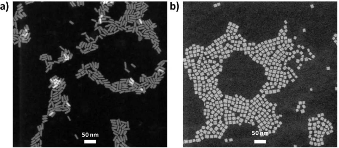 Figure  3.8.  HAADF-STEM  images  of  4  ML  thick  CdSe  core  NPLs  having  (a)  rectangular shape and (b) square shape, which were synthesized at our laboratories