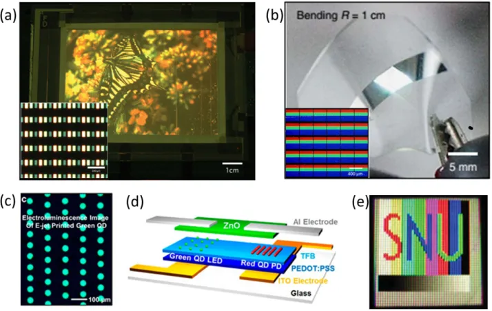 Figure 4: (a) A butterfly image illustrated by the electroluminescence of quantum dot (QD) display