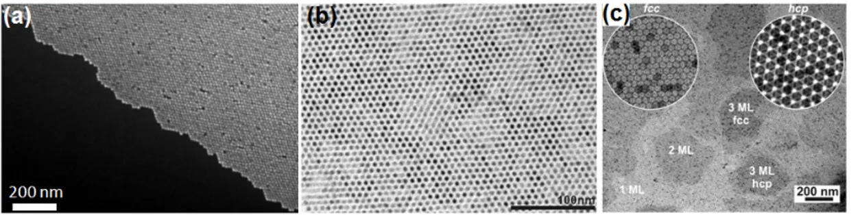 Figure 2.8: (a) Scanning electron micrograph of self-assembled monodisperse QDs forming a 2D hexagonal lattice