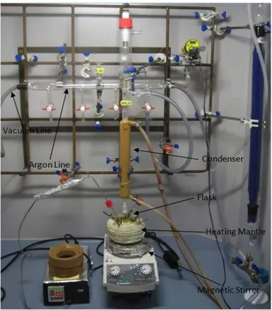 Figure 2.4: A typical setup for the synthesis of nonpolar quantum dots (from our laboratory at Bilkent UNAM).