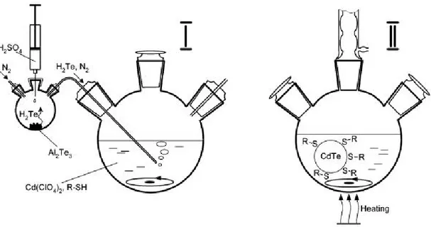 Figure 2.5: A representation for the typical equipment used for the synthesis of the aqueous CdTe QDs