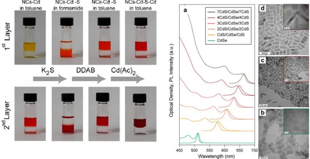 Figure 2.7: (Left) c-ALD process and (Right) the optical and structural char- char-acterization of the resulting core@shell nanoplatelets