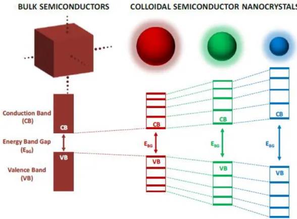 Figure  2.1:  Band  gap  diagrams  of  bulk  and  colloidal  semiconductor  nanocrystals