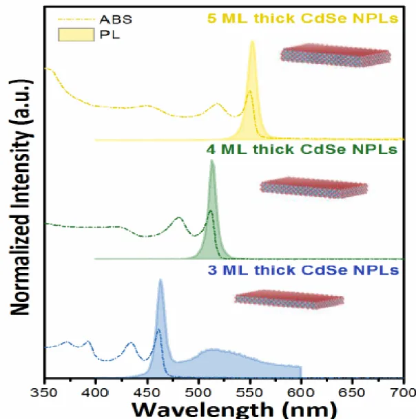 Figure  2.6:  Absorption  and  PL  spectra  of  CdSe  nanoplatelets  having  various  thicknesses