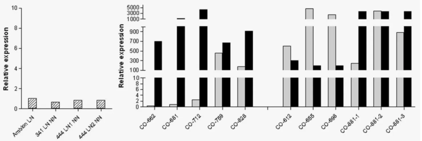 Figure 6. CCAT1 was also signiﬁcantly upregulated in meta- meta-static tissue. RNA obtained from ﬁve patients with CRC  me-tastases to either the liver or the peritoneal cavity showed CCAT1 upregulation of more than 100-fold compared to normal colonic tiss