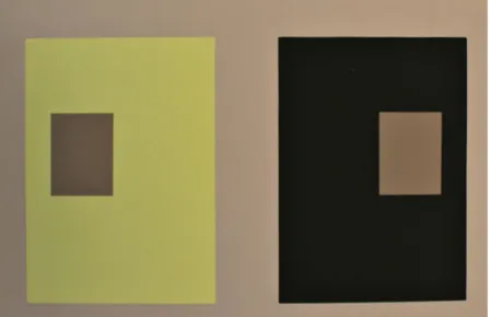 Fig. 2 The same gray appears as two