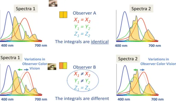 Fig. 1 A graphical depiction of the phenomenon of observer metamerism. For observer A (the reference observer), the tristimulus values resulting from spectrally integrating the color-matching functions of observer A and