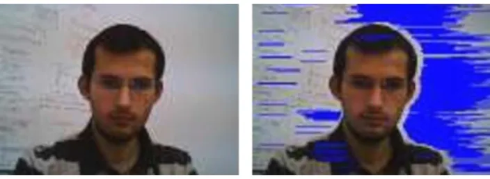 Fig. 5 Left: original image, right: light adjusted image