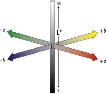Figure 11. The CIELAB colour space 