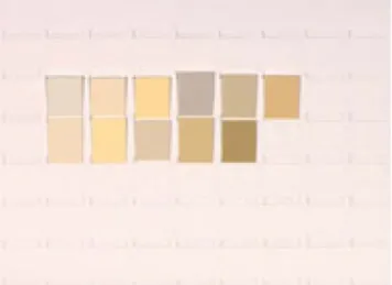 Fig. E.22. Colour samples constituting the range for beige ‘‘bej’’.